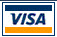 Visa credit card logo in blue and gold colors on white background.